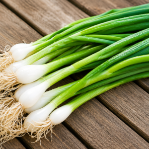 Oignons Verts