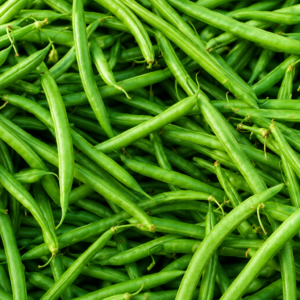 Haricots Verts