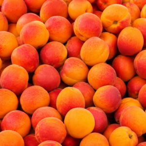 Abricots